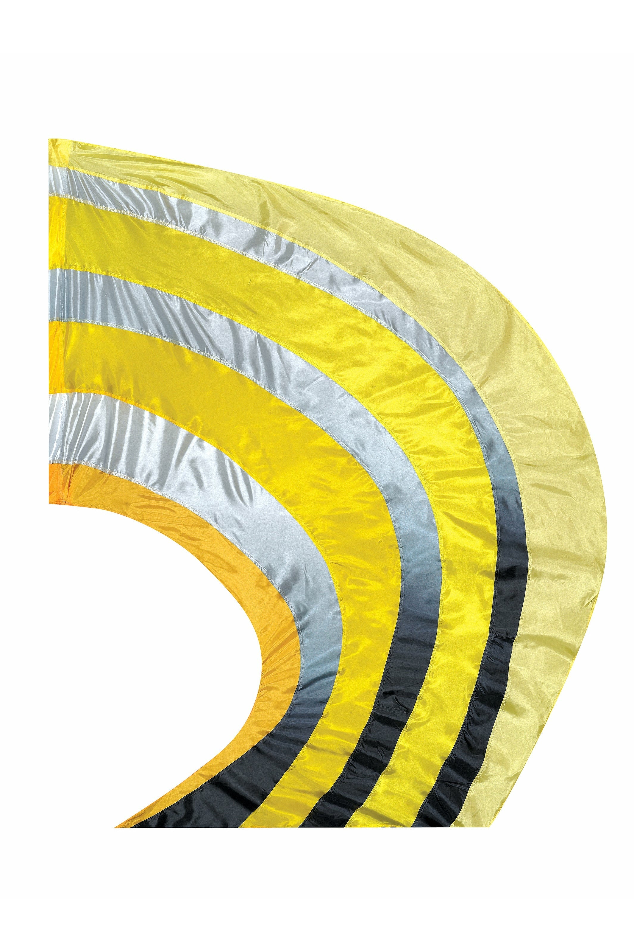 SWING FLAG 100 The Bandmans Company